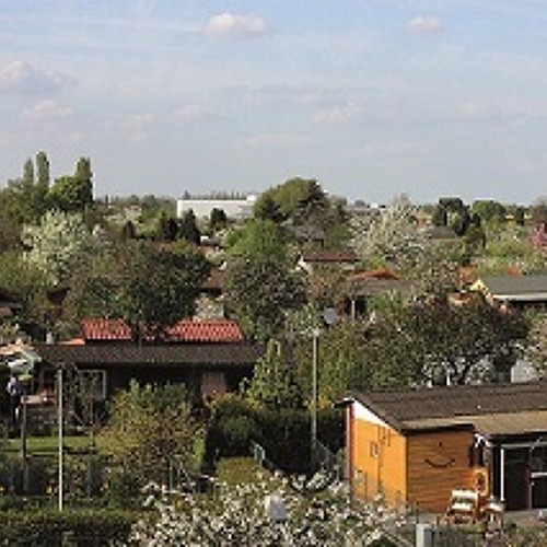 Wichtiger Meilenstein für den Schutz der Berliner Kleingartenflächen erreicht