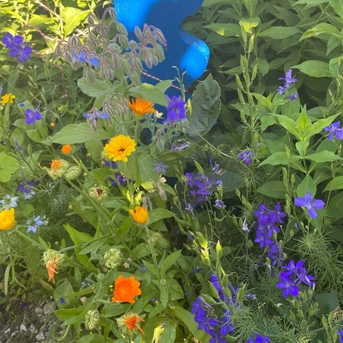 Nützlingsförderung im Garten – ein Muss für unsere Gärten    