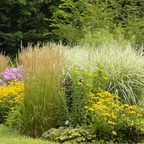 Was muss ich bei Neupflanzungen von Gehölzen oder Stauden beachten?