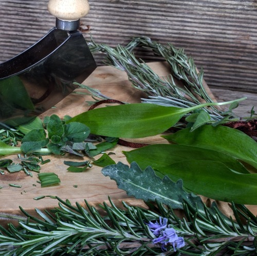 Der Kleingarten "Schatztruhe der Natur"